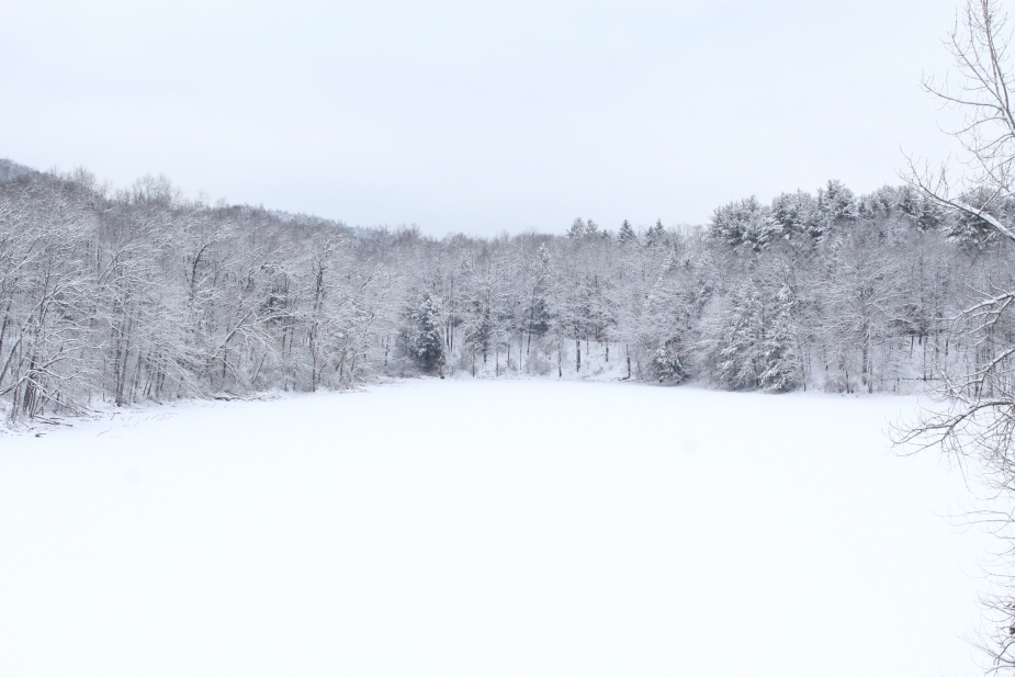 Beautiful Winter Landscape of Dover WOA Headquarters