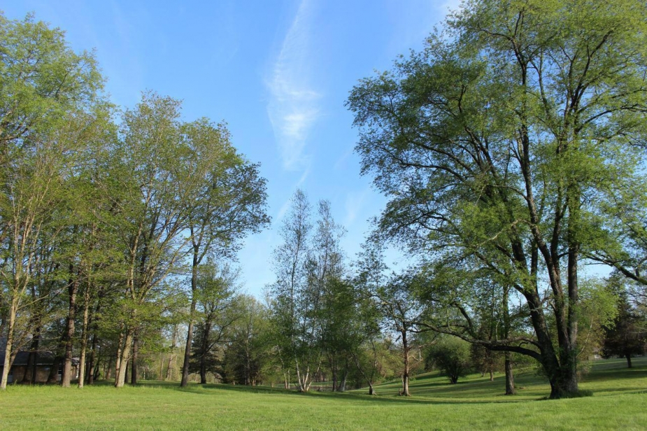 The World Olivet Center Landscape 