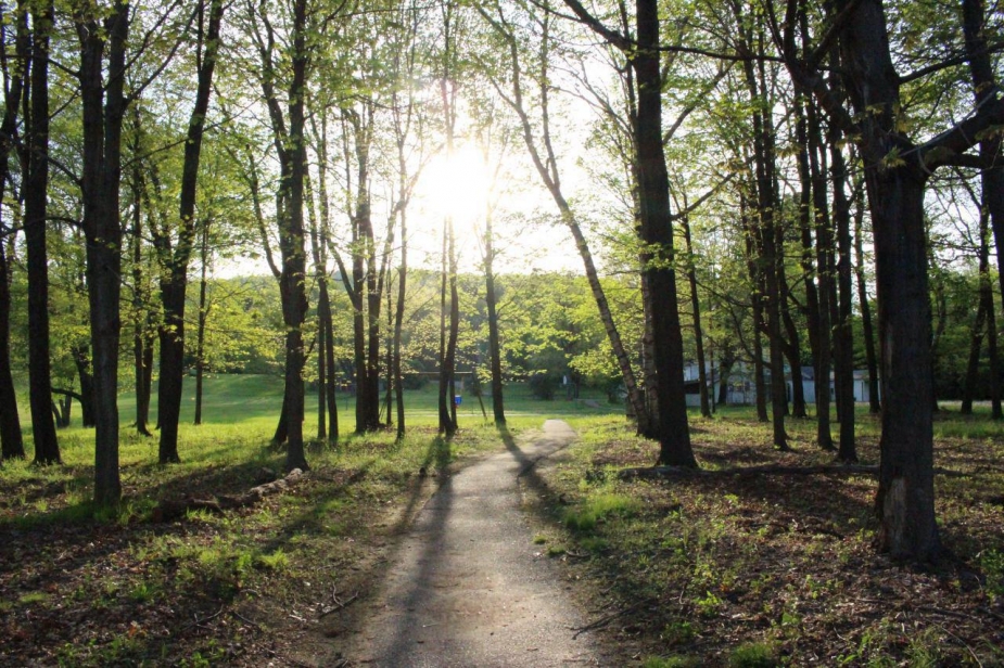 The World Olivet Center Landscape 